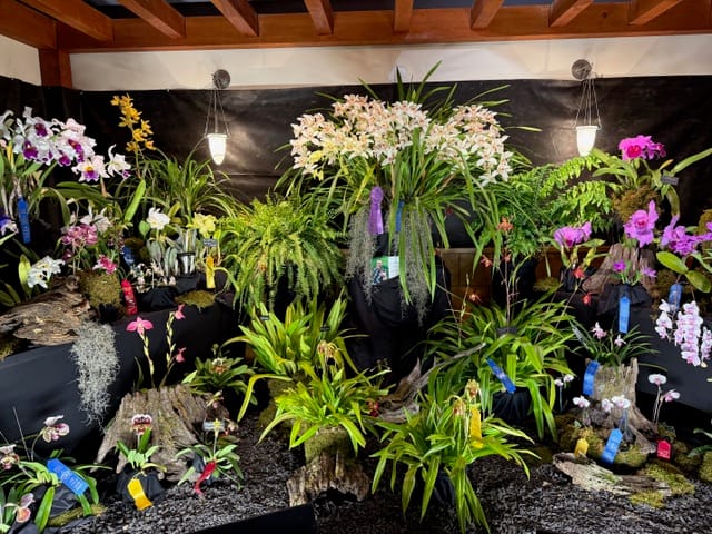 Annual Orchid Show and Sale — April 3rd & 4th 2026