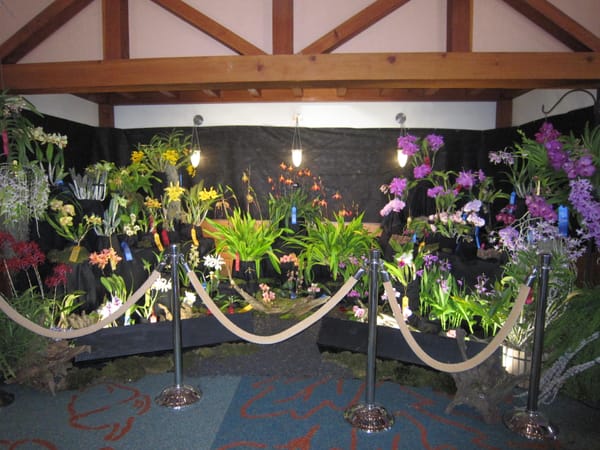 MSV Orchid Show 2026